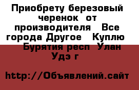 Приобрету березовый черенок  от производителя - Все города Другое » Куплю   . Бурятия респ.,Улан-Удэ г.